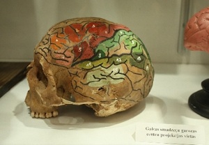 Jekabs Primanis Museum of Anatomy